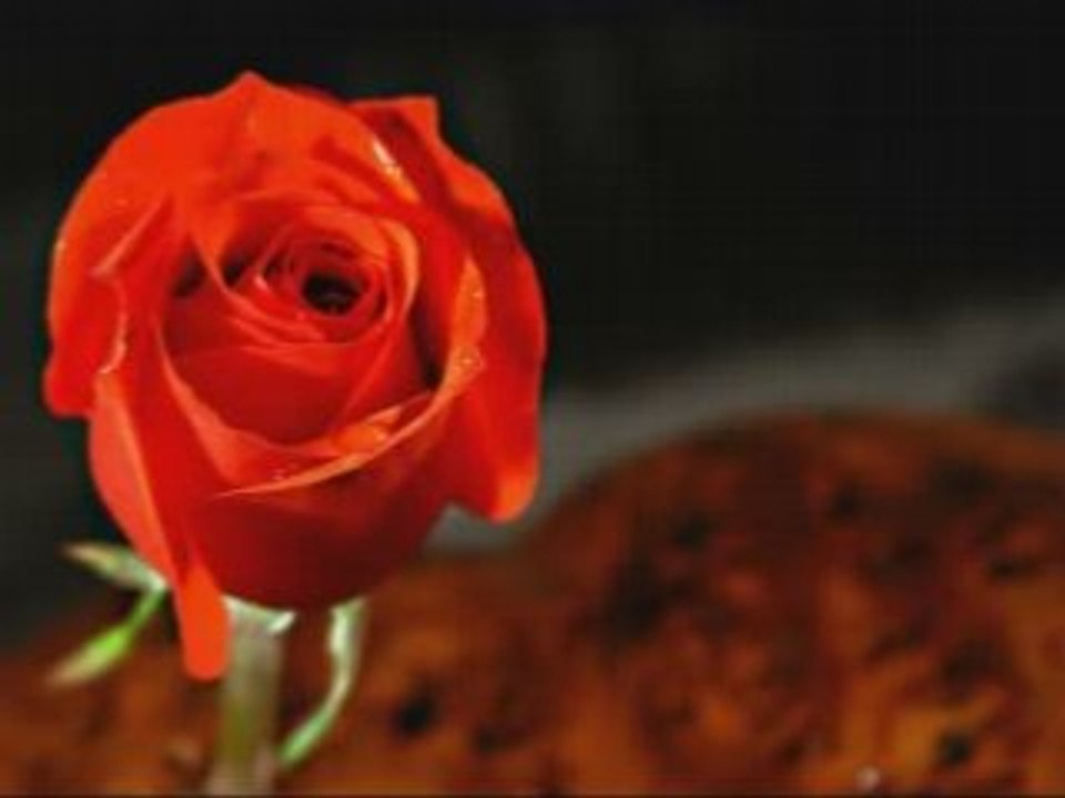 coeur brisé
