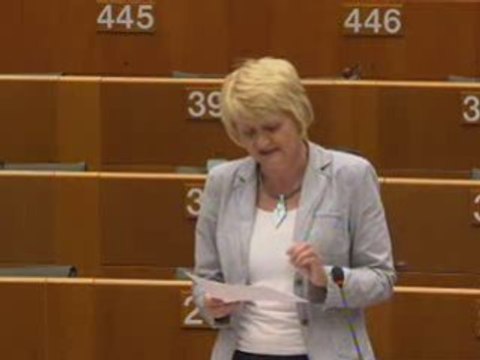 Marian Harkin on Equality between women and men - 2008