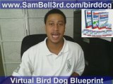 Virtual Bird Dog Blueprint