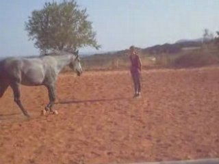 Lana, Happy Together