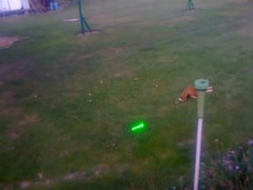 loustik le chat