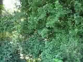 Paris marseille roller