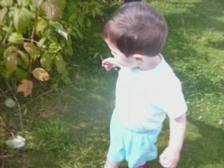 les 11 premiers jours de juillet 2008