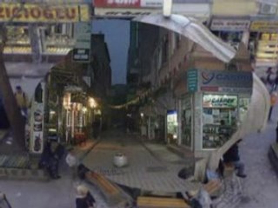 ALAPLININ TANITIMI-2008