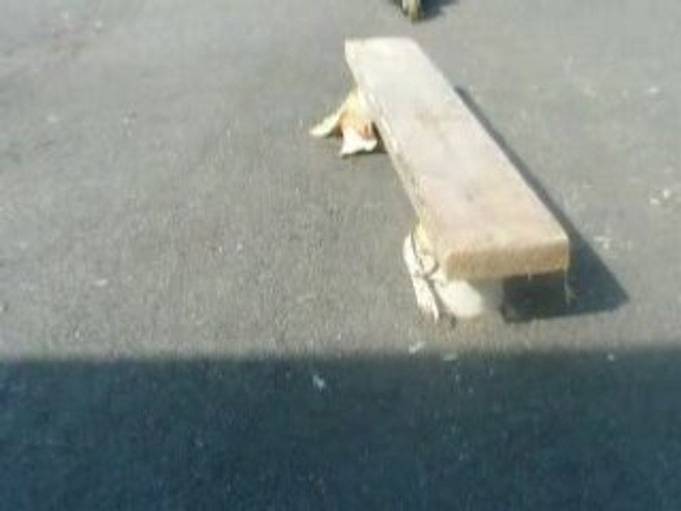 Photo 001
