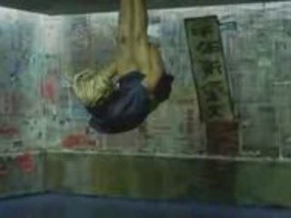 Enigma-seven_lives-dvdrip-x264-2008-se