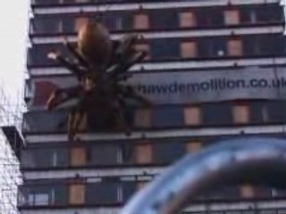 Ragno Gigante terrorizza Liverpool