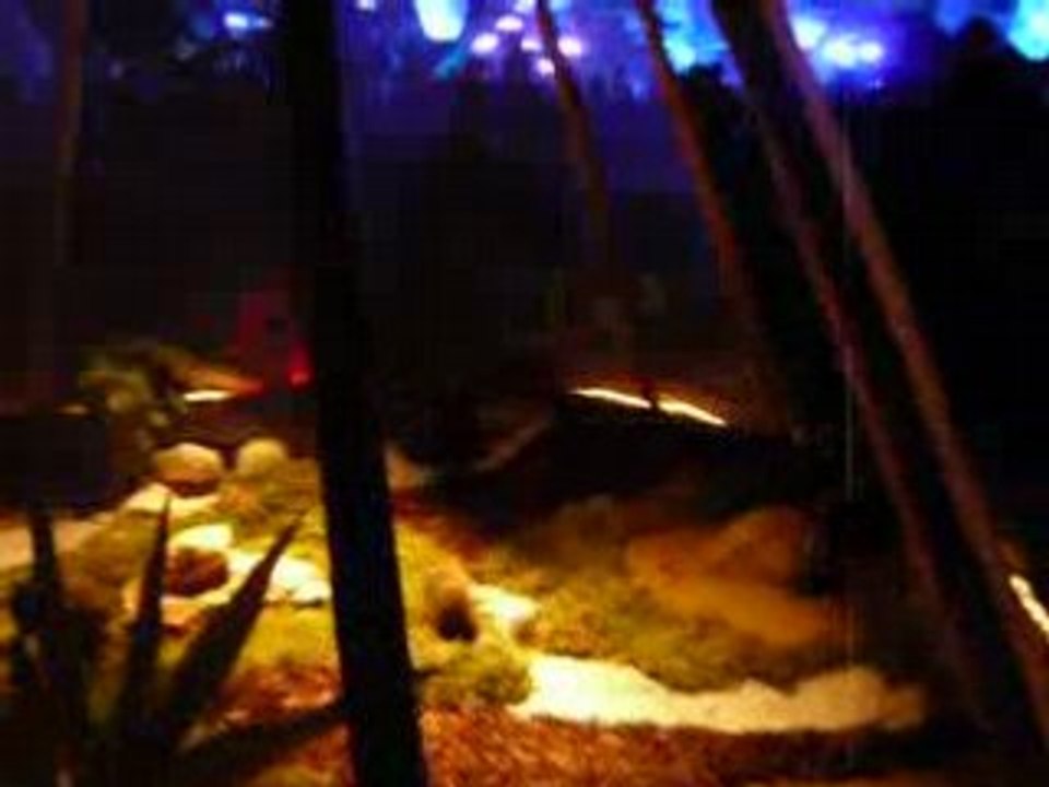 arcadia 2008