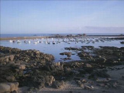 Mantus boogie to the bop