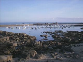 Mantus " boogie to the bop "