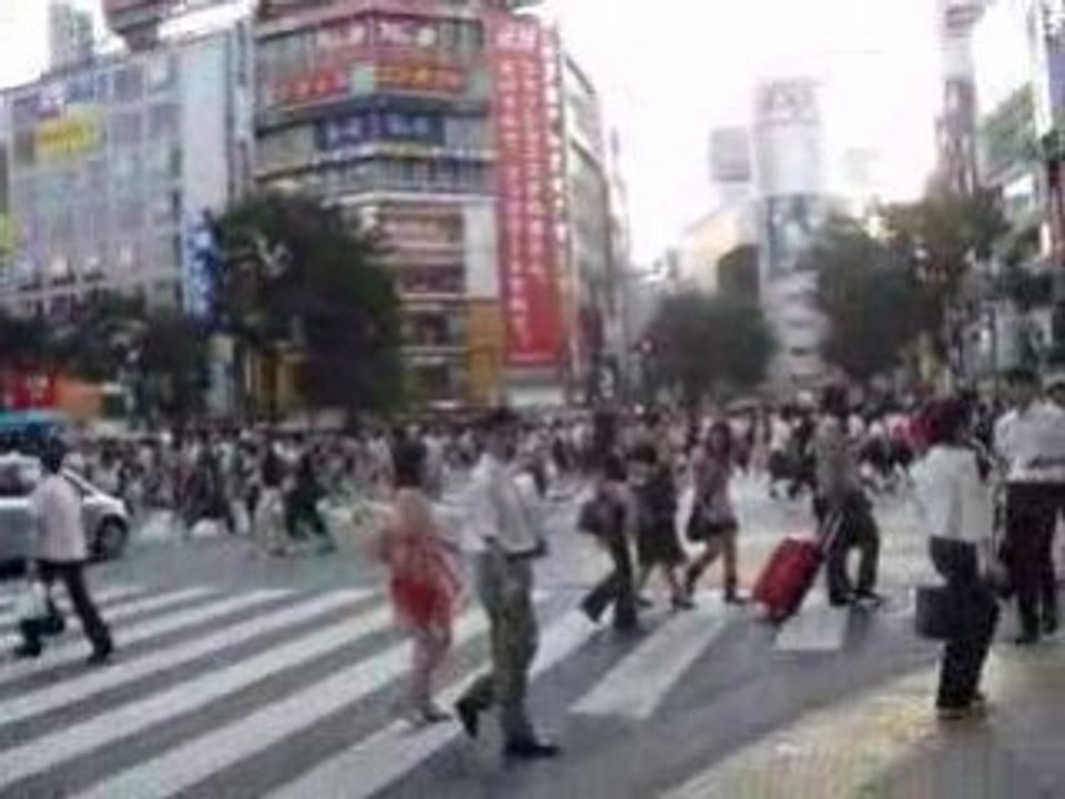 MOV01207