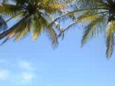 Iles Du Salut (Part 1)