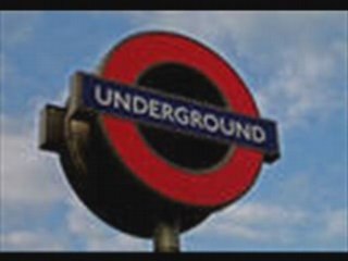 Omar salgado (eukalipto)