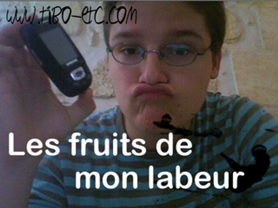 Les fruits de mon labeur