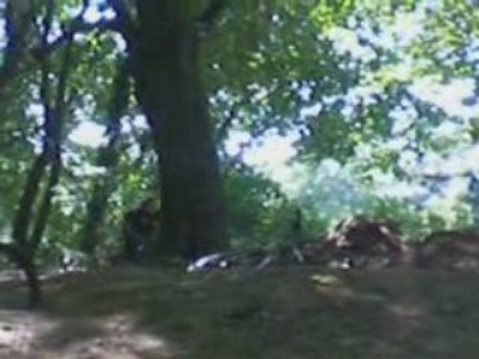 wild-riders