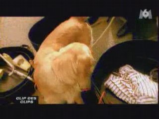 Sinsemilia - Douanier 007