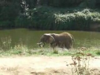 Planête sauvage 30 aout 2008 079