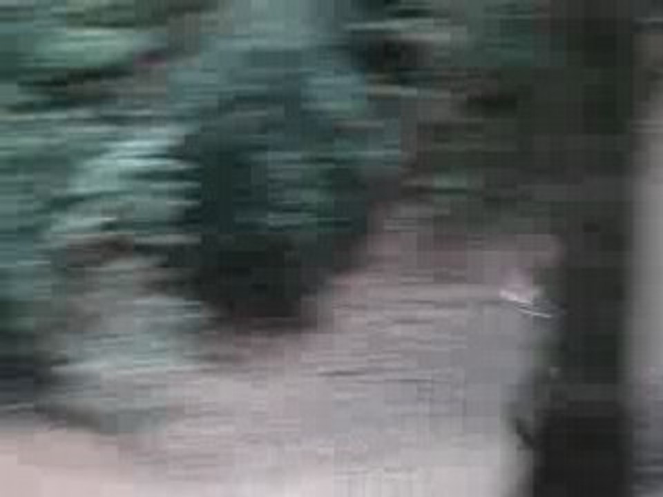 popo bmx