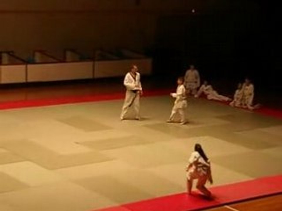 demo taekwondo Nice