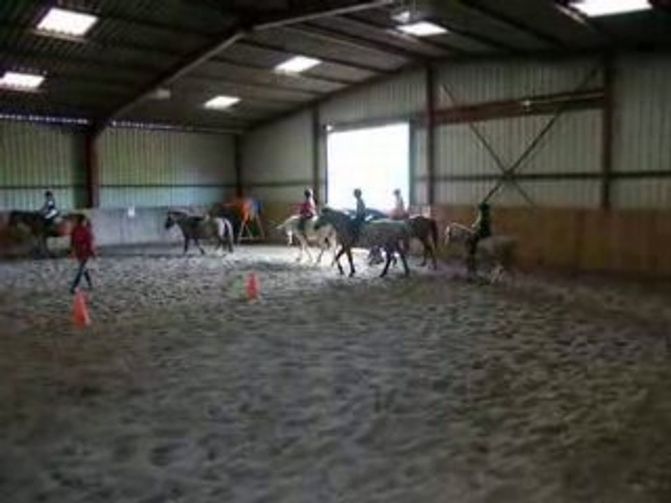 Do tombe de poney
