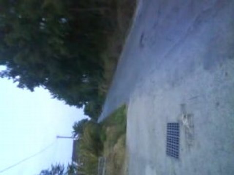 Derbi Barikit fonte 70 , pot evo , carbu 19 dell'orto