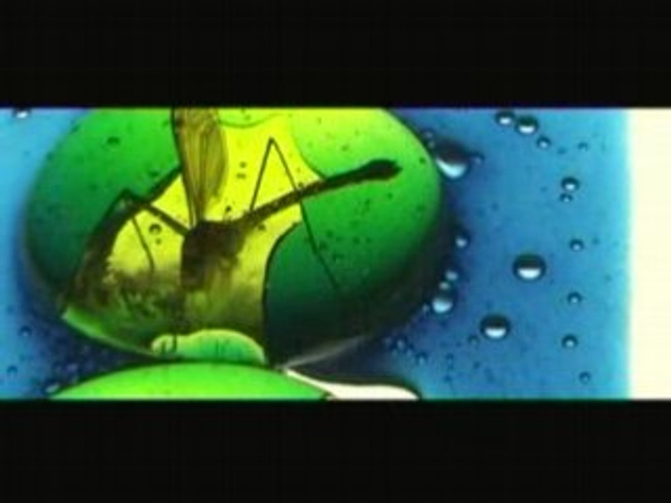 Goethes Erben & Peter Heppner - Glasgarten