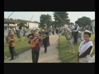 camargue ambiance mariage