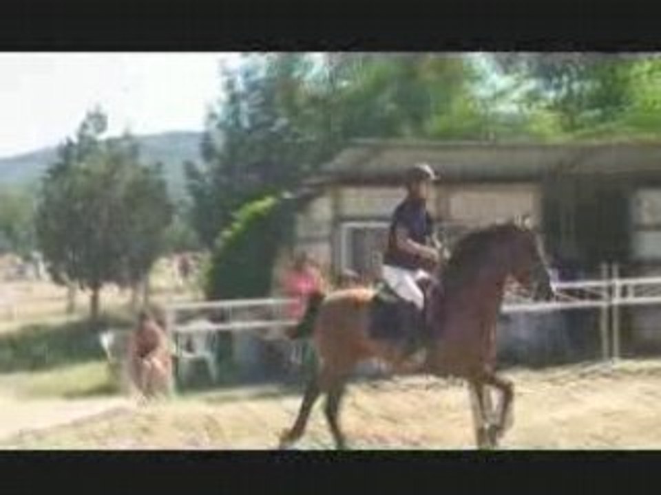 Cso Mousquety