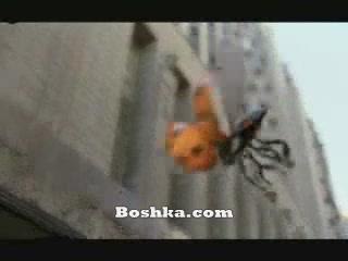 Pub peugeot coccinelle