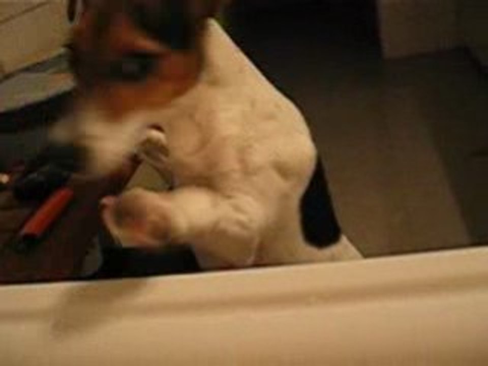 Daïa et la mousse du bain...ÏI
