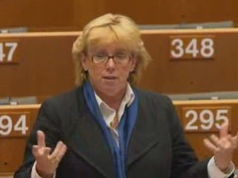 Lena Ek on Mid-term review