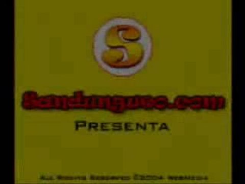 Don Omar - Reggaeton Latino