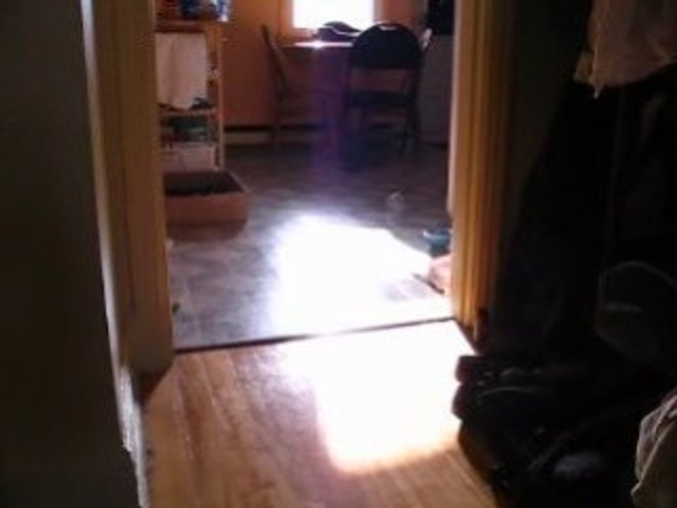 MVI_8460