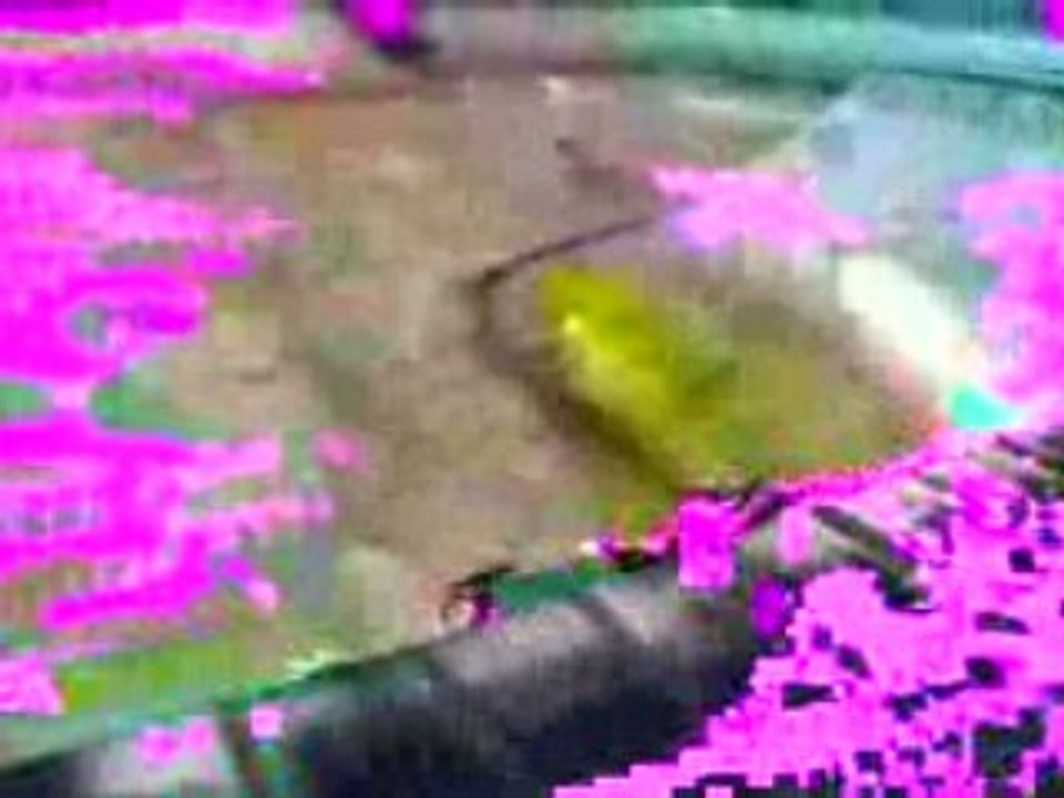 Skate 2