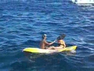 Le saut de guiguiet marine