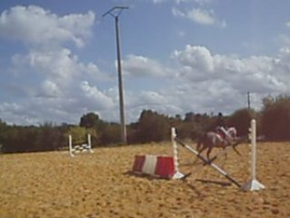Saut