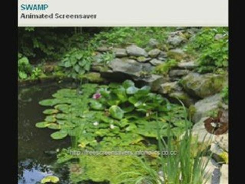 Free Screensavers For Your Desktops