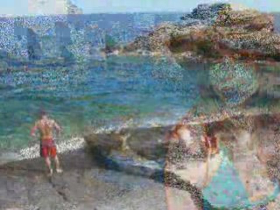 Summer 2008