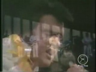 élvis presley , hommage