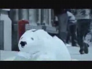 Environmental Defense Fund - Polar Bears