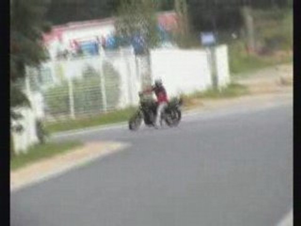Stoppie cats!!!
