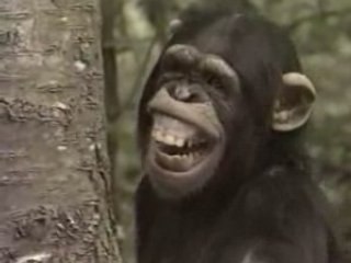 La vie privée des animaux - episode 1