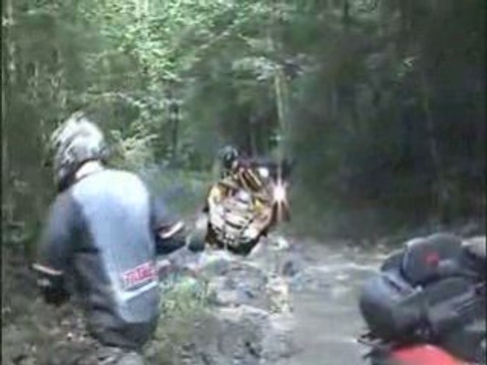 quad