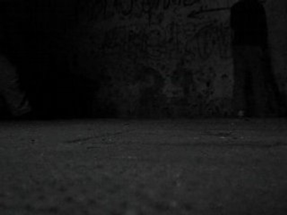 Didgéridoo BreizhDidge,boeuf (percu guitare didj chant )