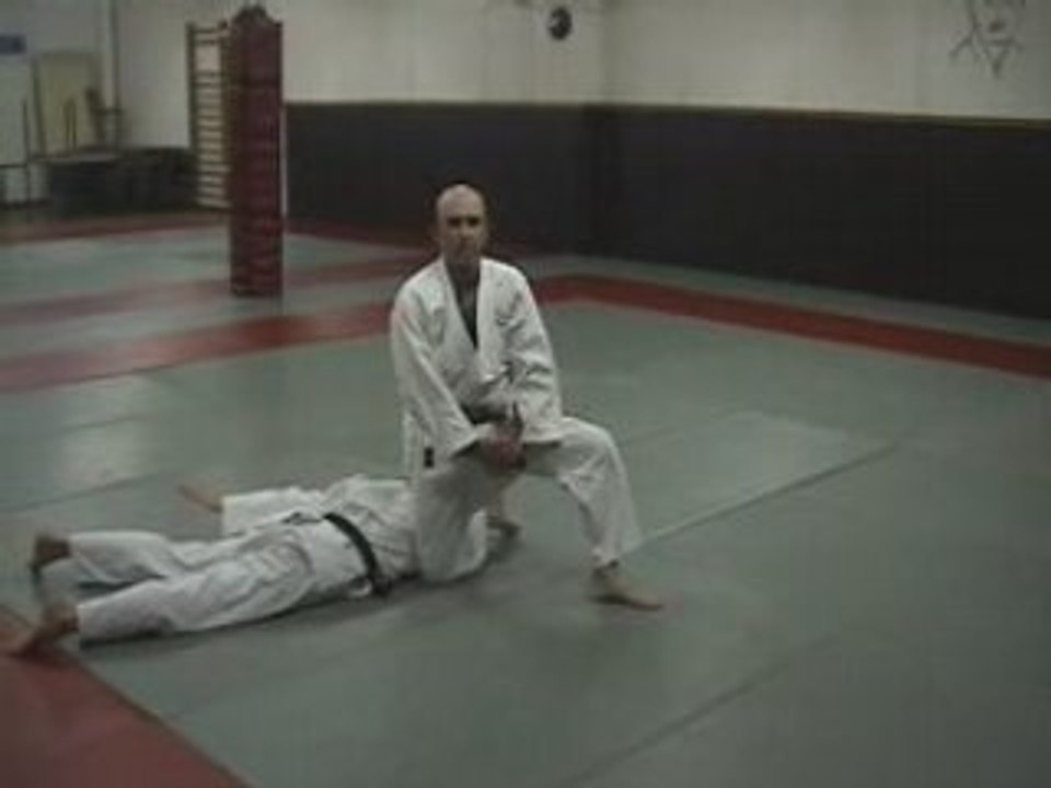 2 Shudan Giaku Tsuki