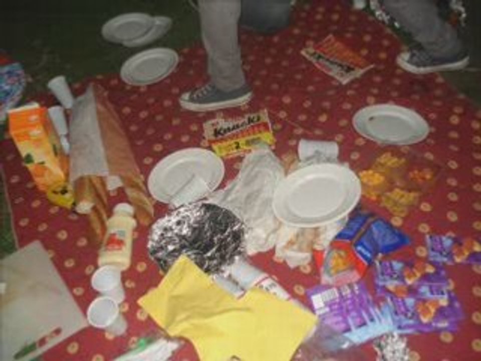 Feux de camps 2008