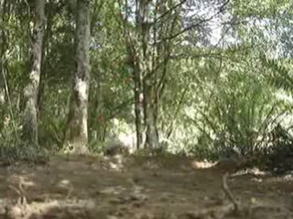 MOV03792