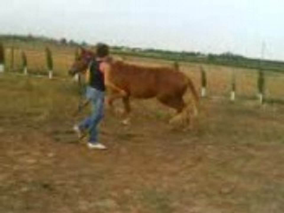 MOV02002