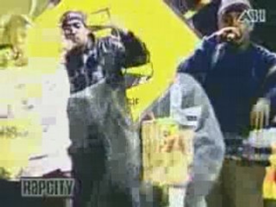 Psy 4 de la Rime - Sale bête (live)