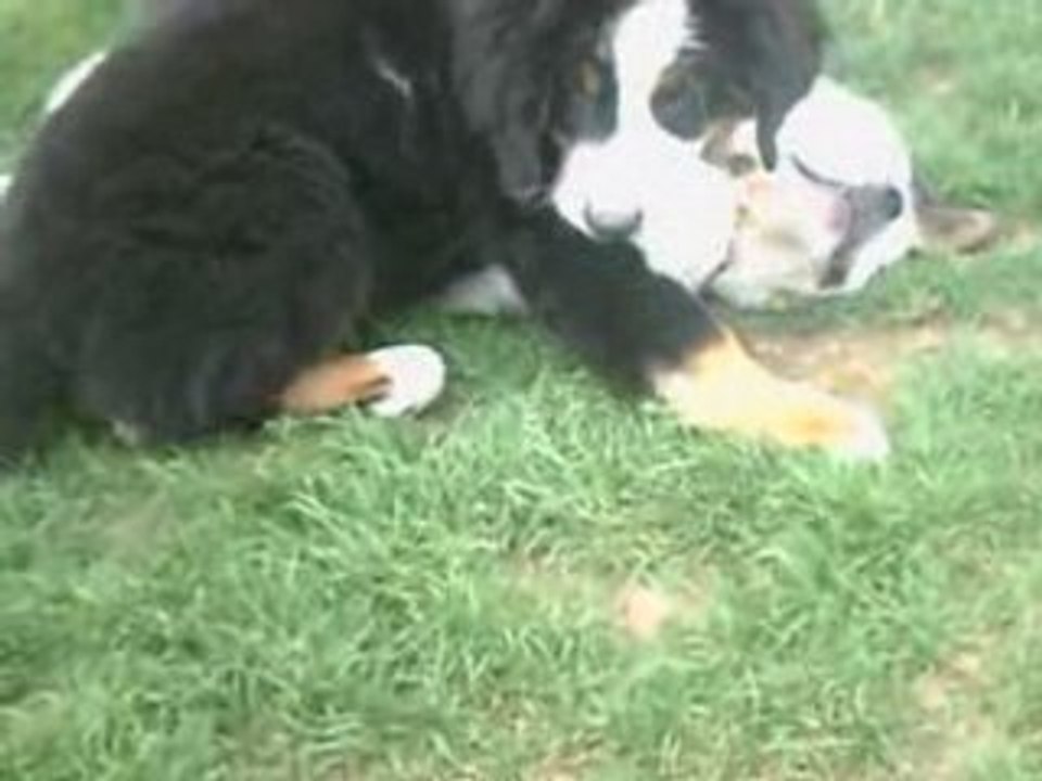 CLIP0043